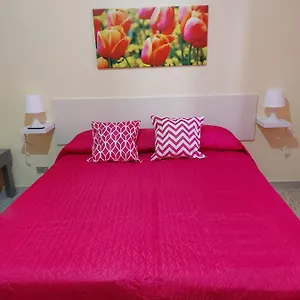 Al 25 Tulipani Cefalù